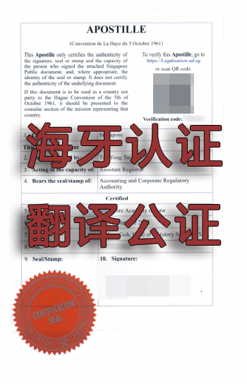 新加坡海牙认证哪些文件需要翻译公证