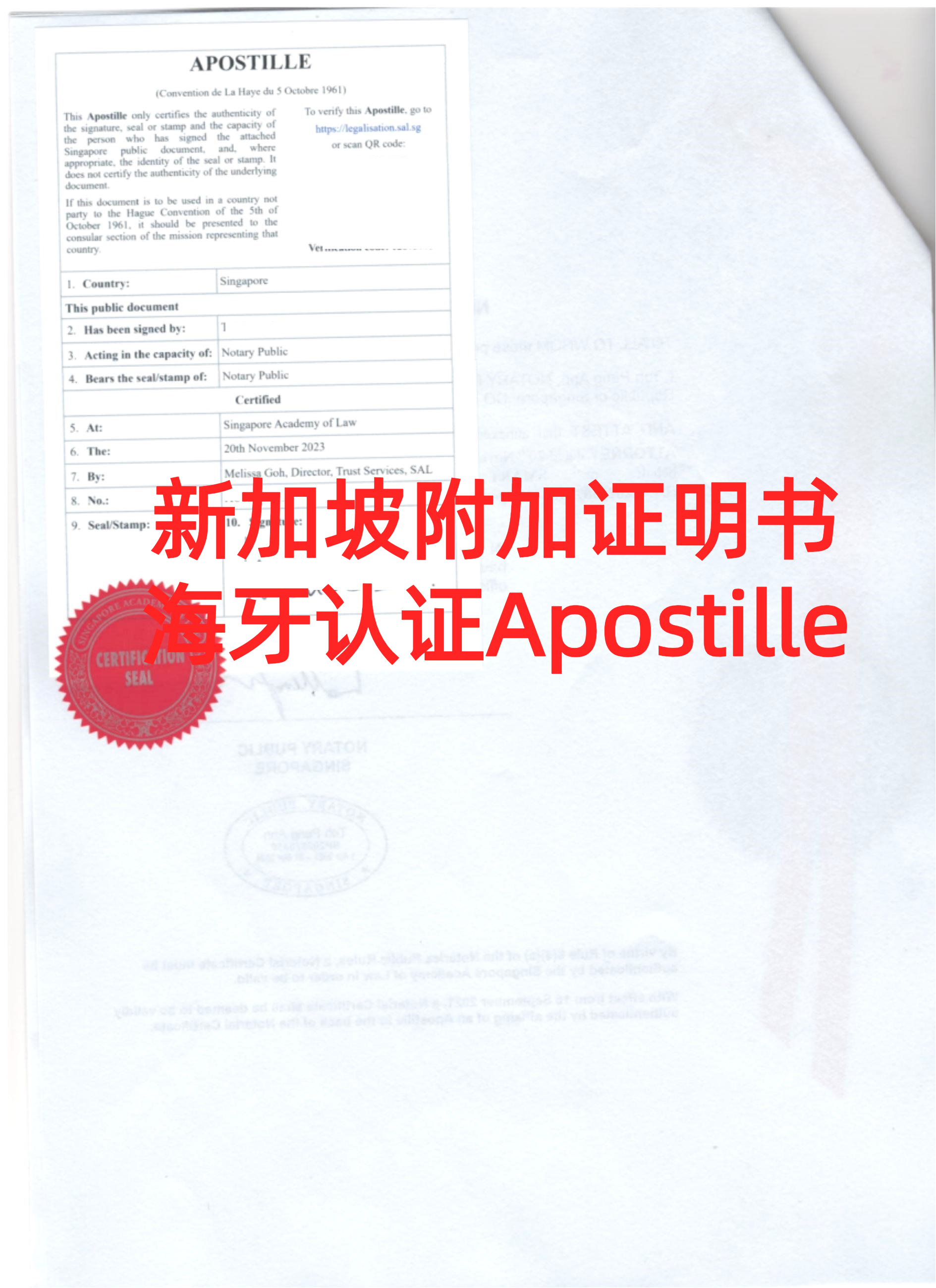 新加坡签发的文件海牙认证在阿拉伯使用