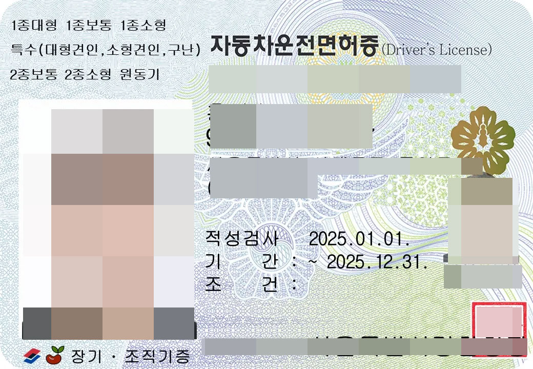 韩国驾驶证海牙认证