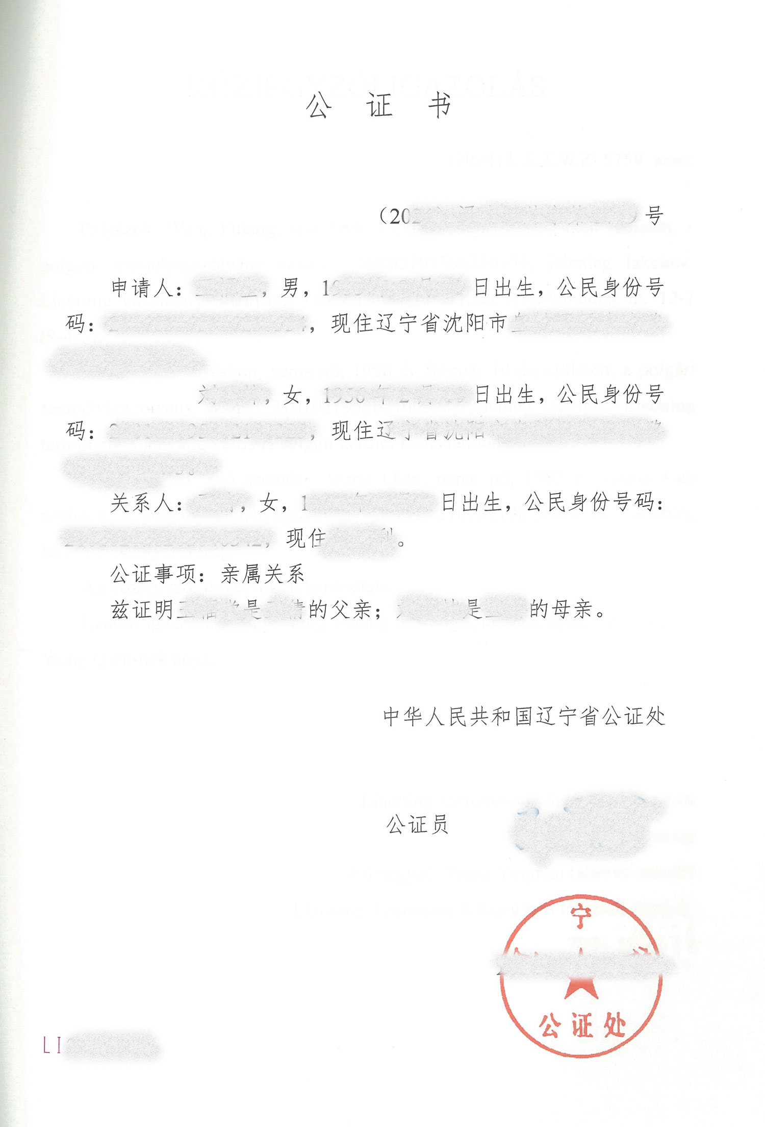 亲属关系证明海牙认证案例
