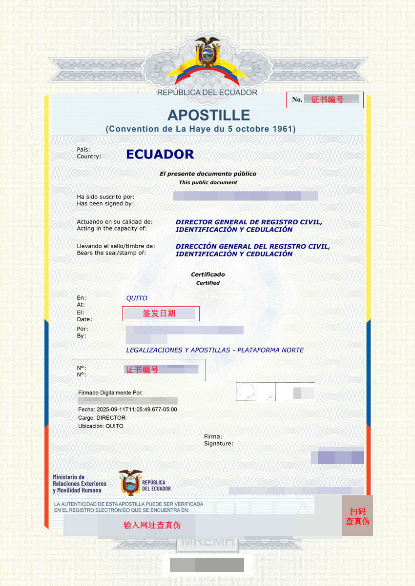 厄瓜多尔海牙认证查询核验真伪指引