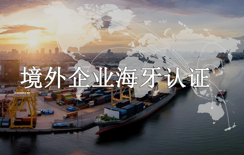 境外企业海牙认证