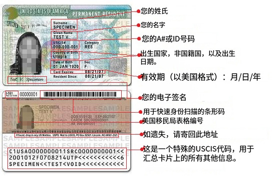 美国绿卡正反面